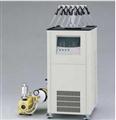 EYELA CFDU-2200